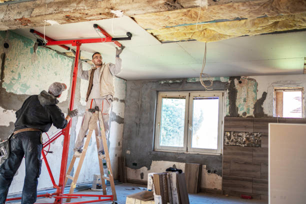 Best Cellulose Insulation  in Mount Vernon, IN