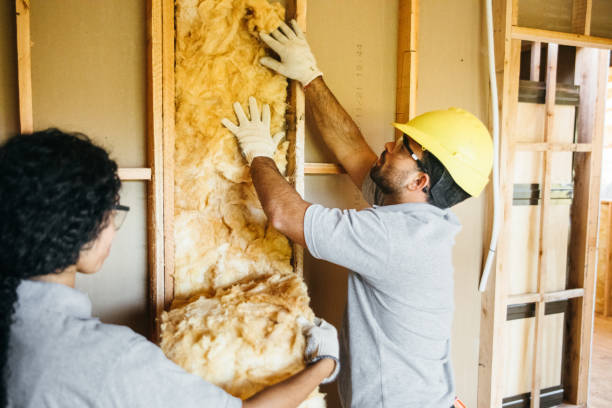 Best Insulation Removal  in Mount Vernon, IN